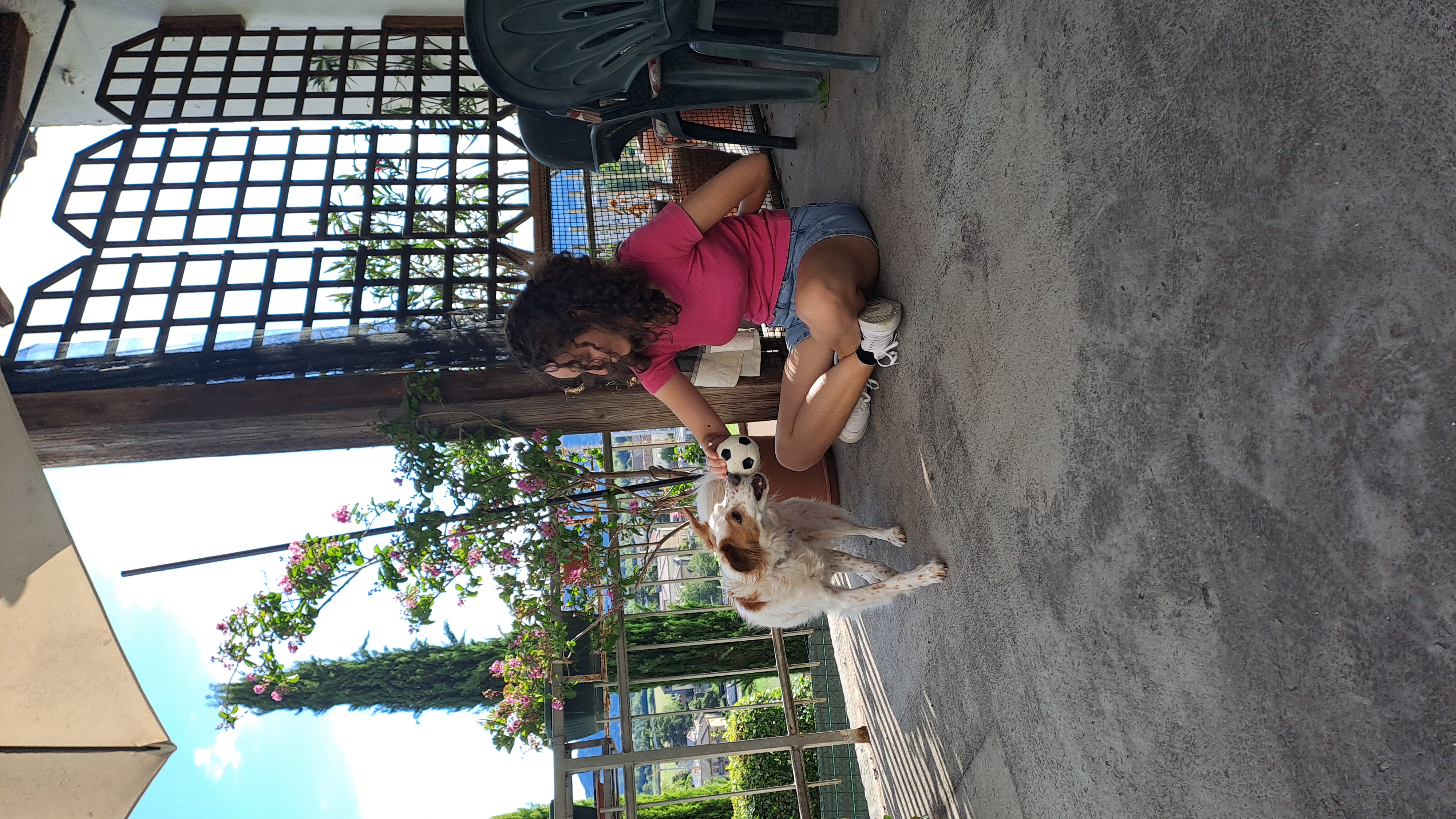 Educatrice cinofila1